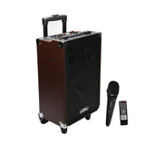 beFree Sound 10 Inch 500 Watt Bluetooth Portable Speaker with USB, SD , Microphone, FM Radio